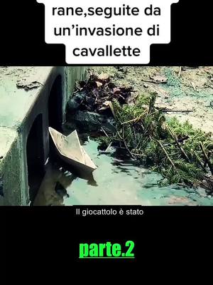 A post by @xiaofeifilm78 on TikTok caption: #movies #film #foryou #italian 