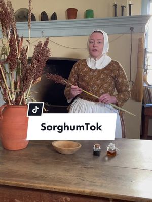 A post by @oldsaleminc on TikTok caption: A thing or two about Sorghum 👀 #edutok #history #sorghum #plant #ancientplants #livinghistory #museumtok #museum #food #syrup #broom #broomcorn #glutonfree #cooking #agriculture #horticulture #moravian #oldrecipes #oldsalem #SorghumTok 