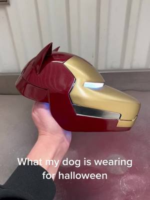 A post by @geeksgonnageek on TikTok caption: The Invincible Iron Dog by @Mattias Hellberg 🐶 #marvel #ironman #cosplay #3dprinting #halloween #halloweencostume  #dog 