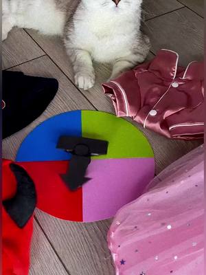 A post by @sonya.kisa_fan on TikTok caption: #cat #catlover #cute #fyp #viral