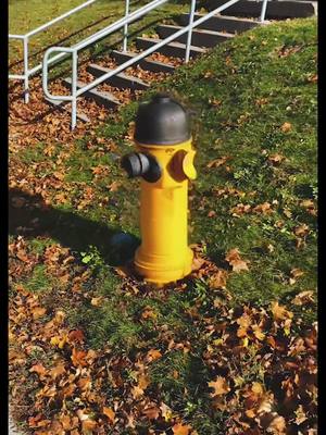 A post by @matthewpaquette on TikTok caption: Fire hydrant #stablediffusion #ai #foryou 