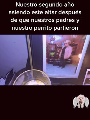 A post by @eldino96 on TikTok caption: #diadelosmuertos #dayofthedead #viral #foryoupage #fyp #foryou #papa #perritos