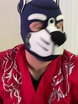 A post by @pupmystic on TikTok