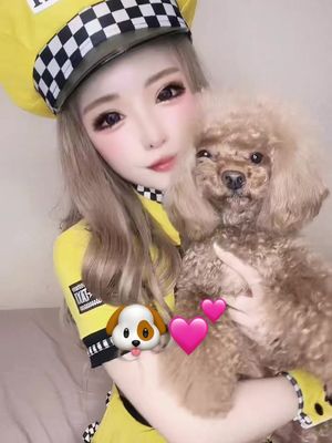 A post by @nyaaaaaachan on TikTok caption: COCOAちゃん🐶🐾❤ #踊ってみた #fyp #トイプードル #コスプレ #おすすめにのりたい #