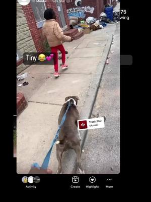 A post by @jbm.squirrel on TikTok caption: Tiny😂🫶🏽 #BaltimoreTiny #Tiny #Baltimore