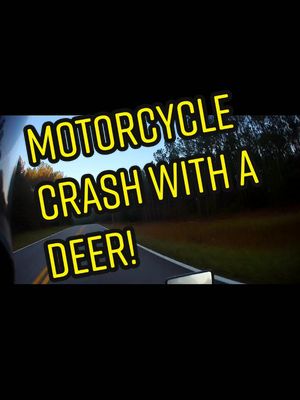 A post by @pinkfloyd878 on TikTok caption: I had a #motorcycle #crash with a #deer this morning #accident #fyp