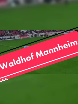 A post by @fans_aus_deutschland on TikTok caption: #svw #waldhof #mannheim #fyyy #fyp 