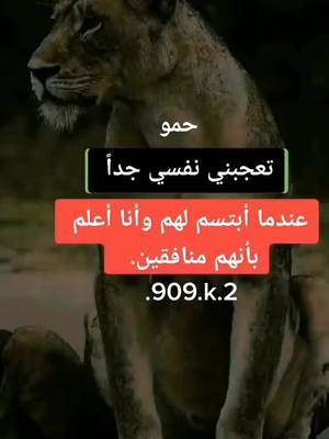 A post by @.909.k.2 on TikTok caption: #جيش_حمو_رحلة_المليون