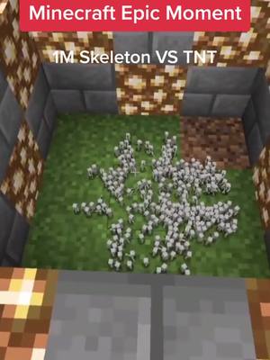 A post by @fazestyl on TikTok caption: 1M Skeletons Vs TNT 👀 #Minecraft #mc #skeletons #tnt #fyp #foryou #foryoupage #fazestyl #fazestyle #viral #share