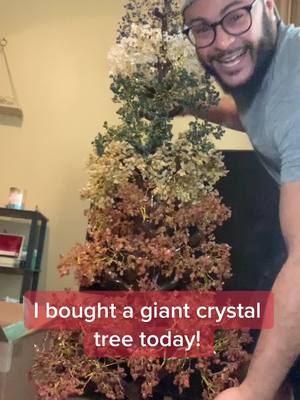 A post by @ant.giovanni on TikTok caption: This will be an everyday decorations and will passed down to my children one day #crystals #crystaltok #crystalsoftiktok