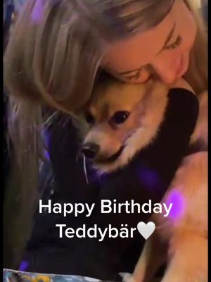 A post by @sandrascm on TikTok caption: I'm so sad that I can’t be with him today🥲🤍 #happybirthday#dog#dogsoftiktok#birthday#bestfriend#Love  