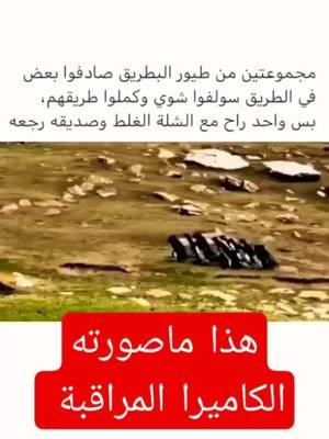 A post by @dir.lkhir.012 on TikTok caption: رسالة مؤثرة