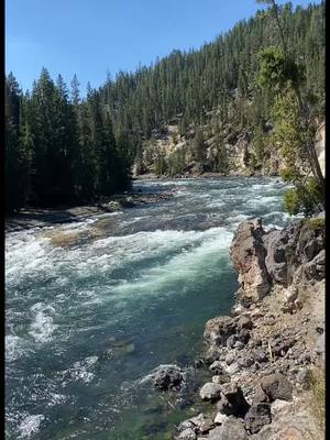 A post by @jacoreyfisher3 on TikTok caption: #yellowstoneriver #yellowstonenationalpark #waterfall #nature 