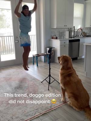 A post by @henlosawyer on TikTok caption: The goodest videographer there ever was 🥹 if you havent tried this with your dog yet, here’s your sign to do it 🤍 #henlosawyer #fyp #goldenretriever #dogsoftiktok #PetsOfTikTok #cutedog #taylorswift #lovestorychallenge 