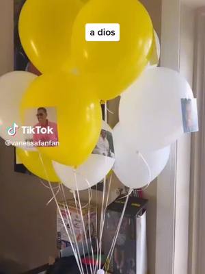 A post by @estheresterlin on TikTok