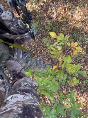 A post by @wreckem_outdoors on TikTok caption: When you pick the wrong stand to hunt out if!  #fyp #foryourpage 