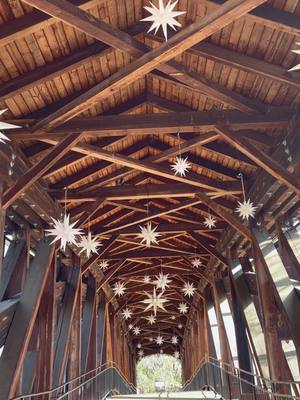 A post by @oldsaleminc on TikTok caption: Just wanted to show off the ridge with the Moravian Stars up. ☺️ Christmas has arrived at Old Salem early. Leave a comment if you’ve visited us! #MoravianStar #landmark #heritagebridgeWSNC #wsnc #WinstonSalem #NorthCarolina #OldSalem #Museum #Museumtok #Christmas #livinghistory #architecture 