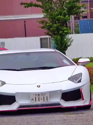 A post by @liyaoli238 on TikTok caption: #superrun #lamborghini #evantado