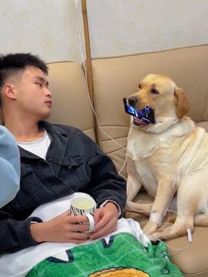 A post by @corgipippi on TikTok caption: How can this man be a dog better than me?#pet