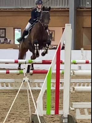 A post by @berrie.sj on TikTok caption: coco coming 2nd and 6th yesterday🫶 #StumbleToVictory #fyp #foryou #foryoupage #viral #showjumper #exracer #ottb #bescabyx