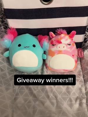 A post by @days.squishmallows on TikTok caption: Giveaway winners! @gmel.e30 @Selene CONGRATULATIONS ! Ill message you both soon! #squish #squishmallow #squishmallows #squishtok #squishmallowgiveaway 