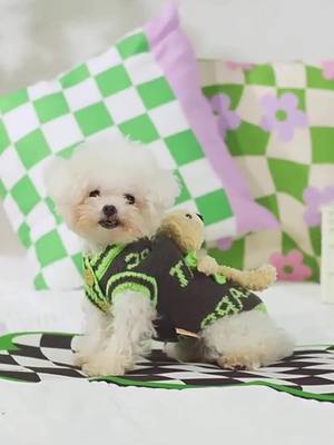 A post by @cutestfluffybuddy on TikTok caption: More cute clothes for dogs and cats in our profile😍 #cutedog #puppy #dogclothes #dogfashion #dogsoftiktok #petclothes #foryou 