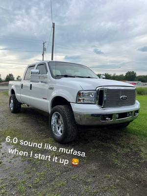 A post by @t_zonfrilli on TikTok caption: Needs injectors 🤷🏻‍♂️ #HuluChippendalesDance #BeTheReasonVisa #6ohpowestroke 