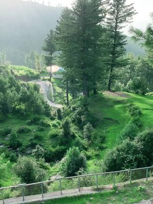 A post by @munacool_07 on TikTok caption: #pakistan #malamjabba_beauty_of_swat #malamjaba #nature #usaf #atlantahairstylist  