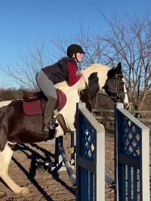 A post by @18equestrian on TikTok caption: Riding outside in November? It appears that way