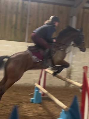 A post by @myfattydanny on TikTok caption: ❤️‍🔥 #showjumping #equestrian #fyp #foryoupage #StumbleToVictory 