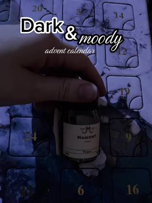 A post by @laceynrobinson on TikTok caption: Shot taken off camera. 9/10. This one tastes like winter and juniper. #darkandmoody #darkchristmas #adventcalendar 