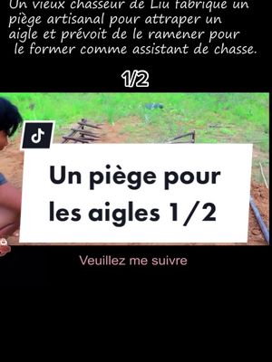 A post by @legrandourssauvage on TikTok caption: #capcut #fyp #foryou #wilderness #piege #aigles