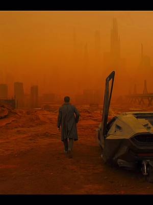 A post by @bonsaifilms on TikTok caption: Bladerunner 2049🧡💜