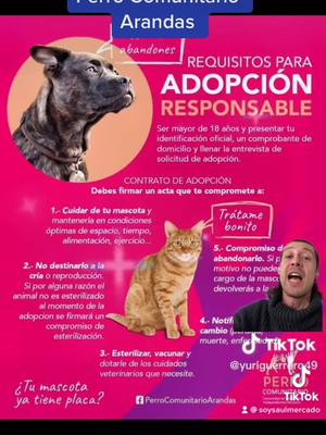 A post by @saulmercadomx on TikTok caption: Perritos en adopción ❤️✨ #adoptanocompres #loaprendientiktok #SabiasQue #adoptaunperro #adoptaungato #quierounperro #quieroadoptarunperro #adoptarungato #feliznavidad #arandasjalisco #adopacionresponsable 