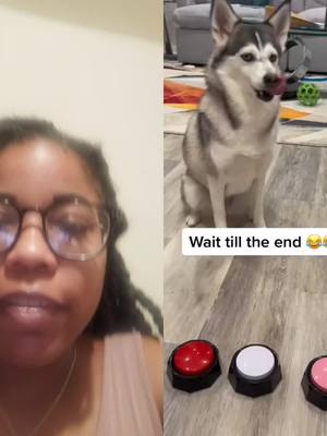 A post by @ariellepassmore on TikTok caption: #duet with @sapphie_the_pomsky