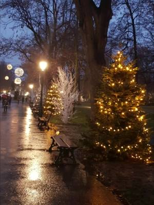 A post by @fidjili on TikTok caption: 🎄 Marché de Noël à Colmar 🎄 #colmar #marchedenoel #deco #lumiere #alsace #fetes #cadeaux