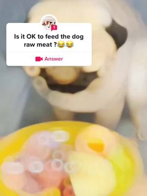 A post by @zkzkdogg.1 on TikTok caption: #answer to @zkzkdogg.1 