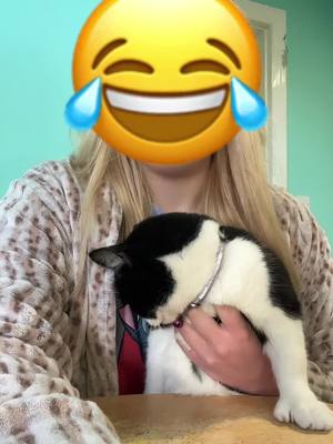 A post by @chloewells23 on TikTok caption: Me and my cat having fun