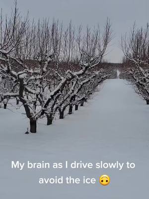 A post by @jakefromwastate on TikTok caption: I don't think I've ever seen orchards and vineyards in the snow before. #winter #snow #scenery #washington #pnw #fieldmechanic #landscape #photography