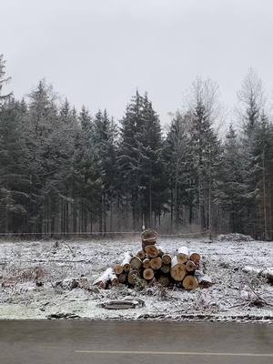 A post by @leoboicu on TikTok caption: #winter #xmas #santa #fy #fypシ @Nicolaev__11 ❤️❤️☃️🧣🧦❄️