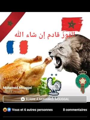 A post by @fatimanour397 on TikTok caption: #كأس العالم #المغرب.كل العرب والمسلمين 