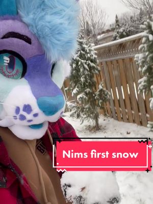 A post by @mojoyote on TikTok caption: Pov: it finally snows in southern Canada— #fursuit #furry #fursuiter #fursuiting #furrytiktok #furryfandom #fyp #foryoupage