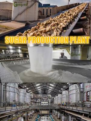 A post by @genyondmachinery on TikTok caption: How sugar is made from sugar beet? sugar making plant sugarbeet processing line to make crystal brown sugar and white sugar #genyond #sugarfactory