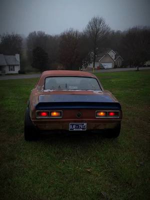 A post by @therealefaw on TikTok caption: thank you for sticking around for the last week... was wondering if quantity was better than quality #CapCut #chevy #hotrod #cars #projectcar #car #bodykit 