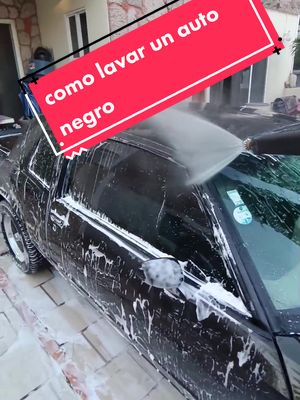 A post by @doncarlosmontes on TikTok caption: Respuesta a @hanibal_bean aquí les dejo el tutorial de cómo yo lavo a don Carlos Montes por ser auto negro #lavado #lavada #autobaño #detallado #mamalon #chevrolet #montecarlo #chevy #lavadodeautos #muscle #car #baño #fypシ #carsoftiktok #tiktokauto #fyp #parati #foryoupage 