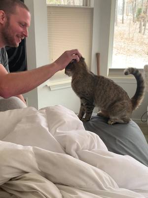 A post by @ninthliferustic on TikTok caption: He’s allergic but she’s so in love with him #tiktok #tiktokpets #catsoftiktok #kitty #PetsOfTikTok #