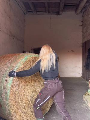 A post by @larissaheger on TikTok caption: Bei -8 Grad im Stall ❄️🐎🌾 #engelbertstrauss #engelbertstrausshose #horse #farm #farmgirl #landwirtschaft #heumachen #equestrian #equestrianlife #equestriangirl #landwirtin #fendt #fendtfahrerarmy #farming #landliebe #dorfkind #dorfliebe #viral #fy #fyp #landwirt #agrar #stable #tommyhilfiger #horsegirl 