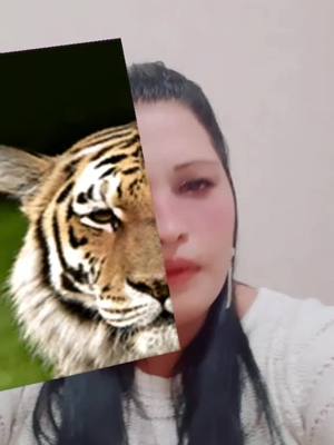 A post by @userq1vbd09snx on TikTok