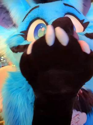 A post by @the_grinsome on TikTok caption: Im good!😎  Sorry for my hiatus guys! I needed a break. I might post here and there but it wont be as frequent as before. Thanks for all the support fluffs!💙 #furry #fursuit #furryfandom #fursuiting #furrytiktok #tiktokfurry #tiktokfurries 