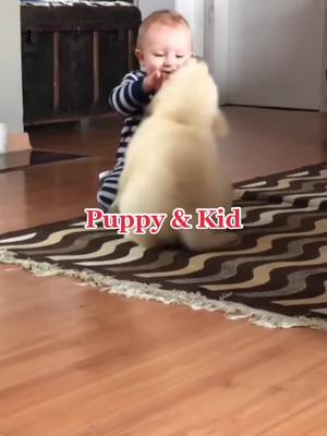 A post by @petpal_uk on TikTok caption: Puppy & Kid #tiktok #foryou #dogsoftiktok #goldenretriever 